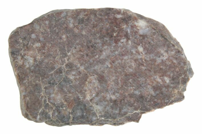 Lunar Meteorite ( g) Slice - Laayoune #381709
